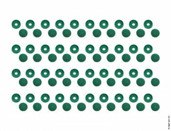 Bolt Cap Set (40 pieces) - Green